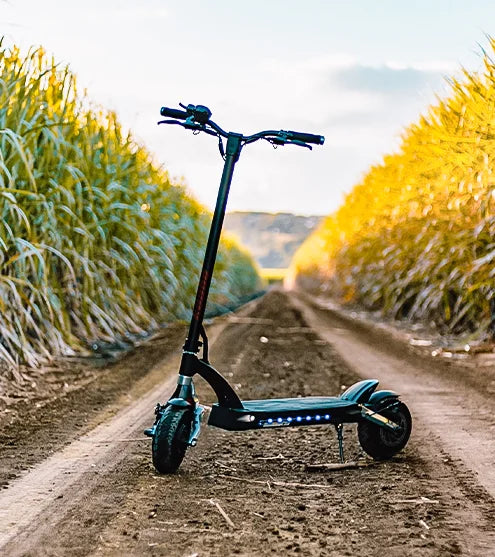 Buy Mantis 10 Lite Electric Scooter - Premium Urban Commuter with Dual Motor Performance